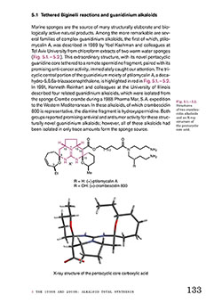 Larry E. Overman, Designing Synthetic Methods and Natural Products Synthesis (Free Sample)